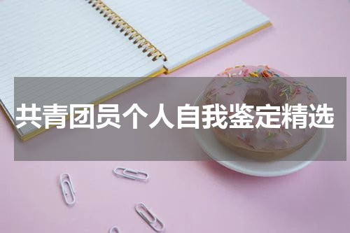 共青团员个人自我鉴定精选