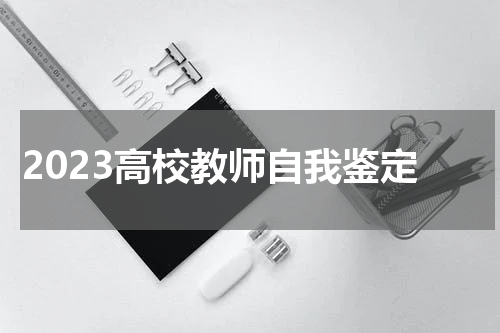 2023高校教师自我鉴定