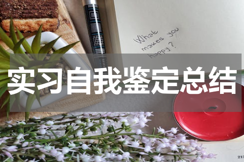 实习自我鉴定总结