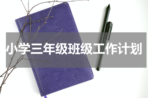 小学三年级班级工作计划