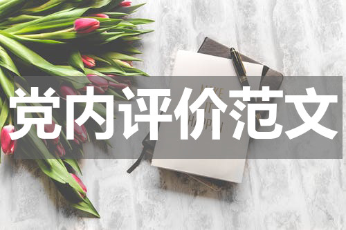 党内评价范文