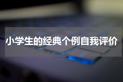 小学生的经典个例自我评价