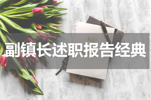 副镇长述职报告经典