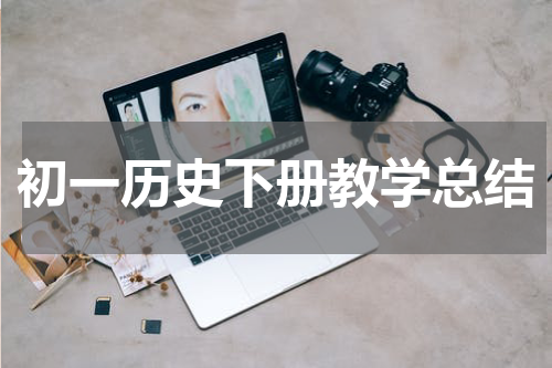 初一历史下册教学总结