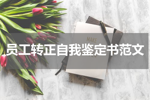 员工转正自我鉴定书范文