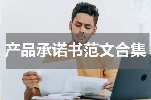 产品承诺书范文合集