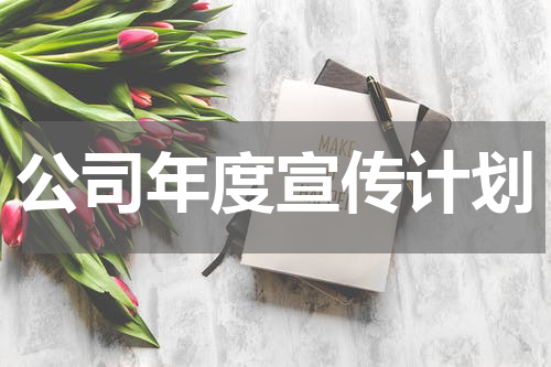公司年度宣传计划