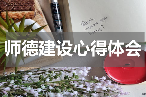 师德建设心得体会