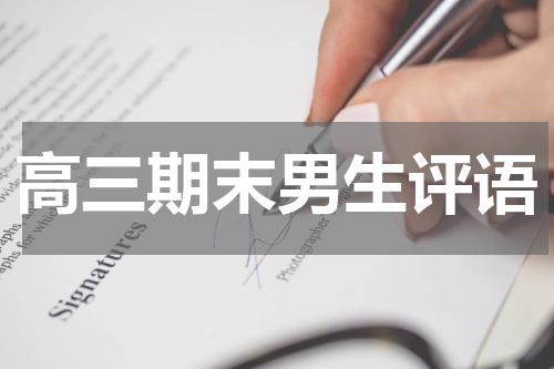 高三期末男生评语