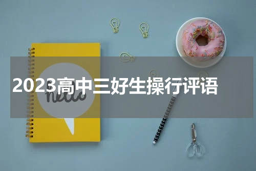 2023高中三好生操行评语