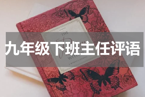 九年级下班主任评语