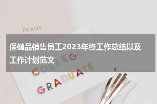 保健品销售员工2023年终工作总结以及工作计划范文