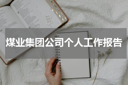 煤业集团公司个人工作报告
