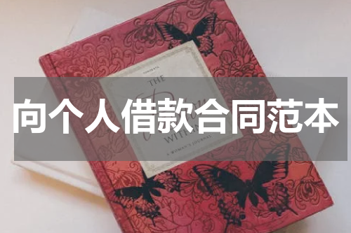 向个人借款合同范本