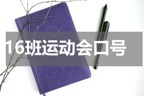16班运动会口号
