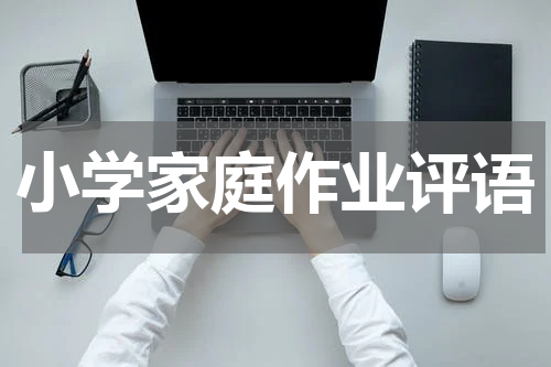 小学家庭作业评语