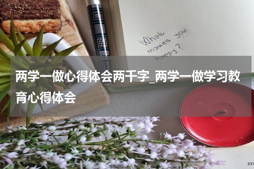 两学一做心得体会两千字_两学一做学习教育心得体会
