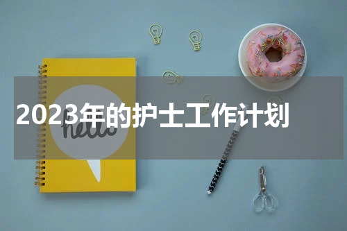 2023年的护士工作计划