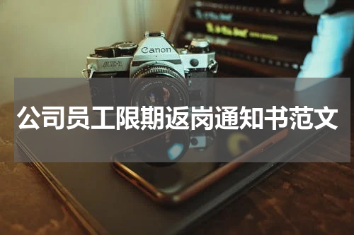 公司员工限期返岗通知书范文