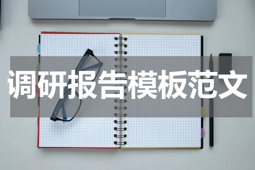 调研报告模板范文