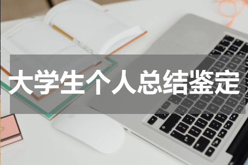 大学生个人总结鉴定