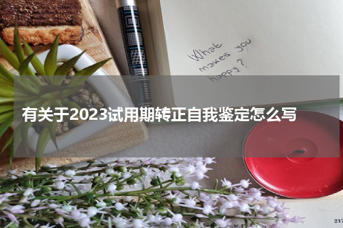 有关于2023试用期转正自我鉴定怎么写