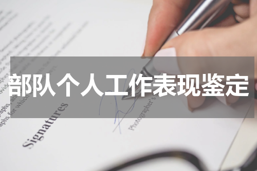 部队个人工作表现鉴定