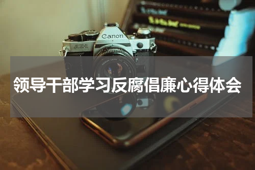 领导干部学习反腐倡廉心得体会