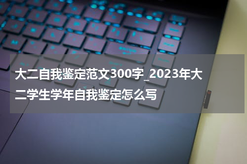 大二自我鉴定范文300字_2023年大二学生学年自我鉴定怎么写