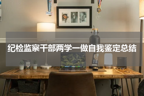 纪检监察干部两学一做自我鉴定总结