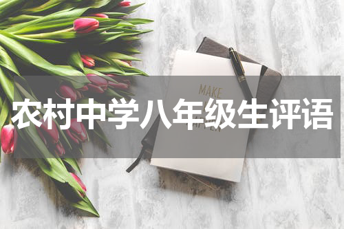 农村中学八年级生评语