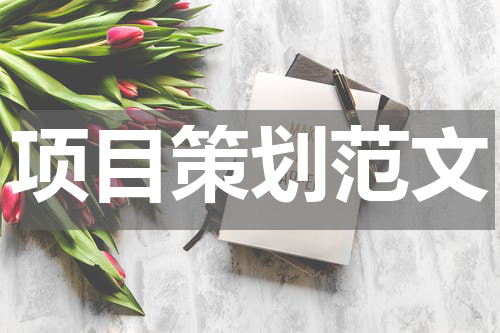 项目策划范文