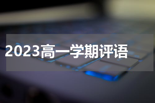 2023高一学期评语