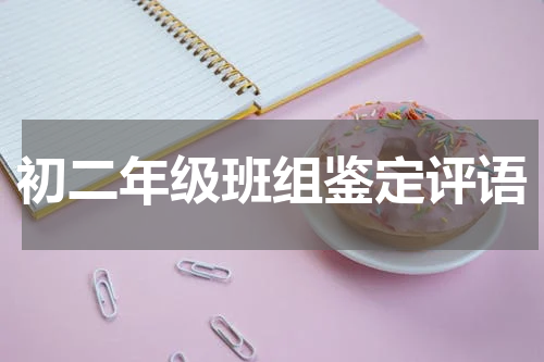 初二年级班组鉴定评语