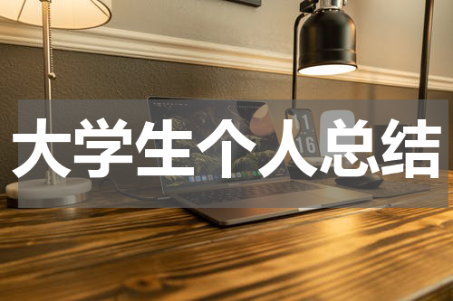 大学生个人总结