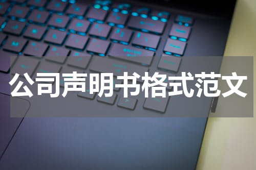 公司声明书格式范文