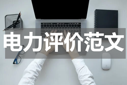 电力评价范文
