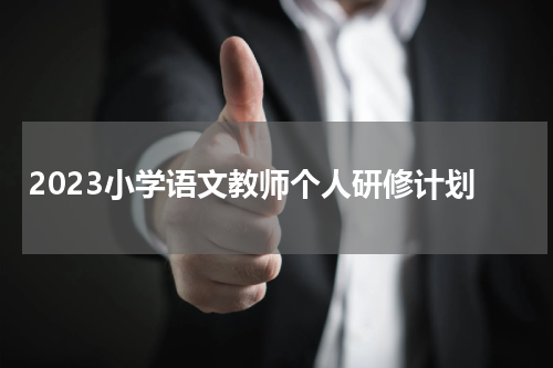 2023小学语文教师个人研修计划