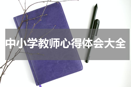 中小学教师心得体会大全