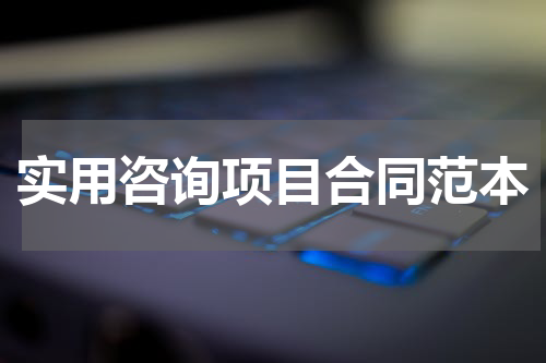 实用咨询项目合同范本