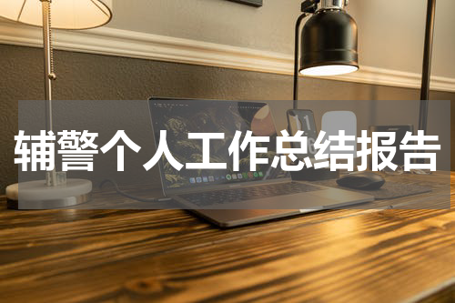 辅警个人工作总结报告