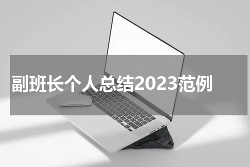 副班长个人总结2023范例
