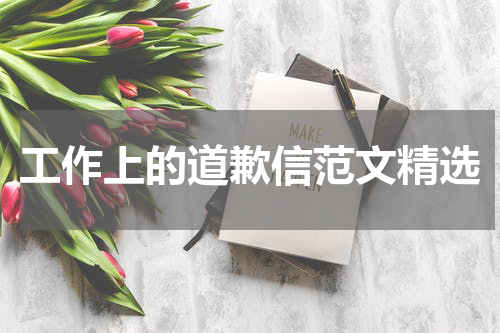 工作上的道歉信范文精选