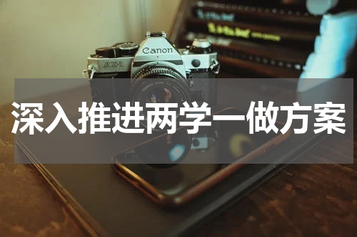 深入推进两学一做方案