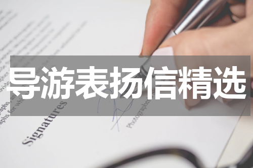 导游表扬信精选
