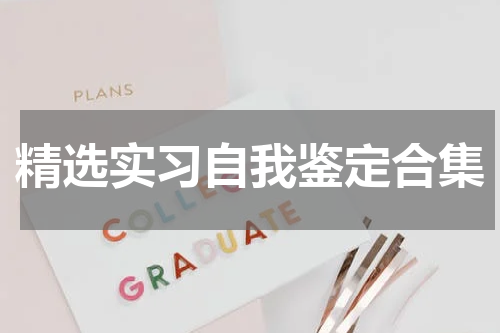 精选实习自我鉴定合集