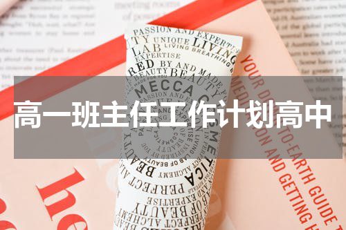 高一班主任工作计划高中