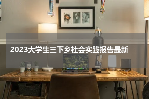 2023大学生三下乡社会实践报告最新