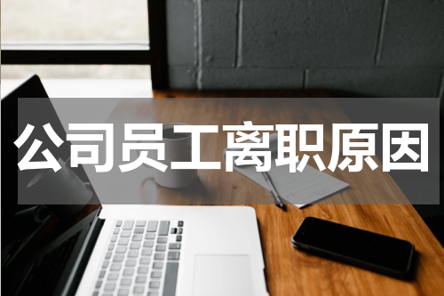 公司员工离职原因