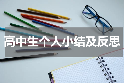 高中生个人小结及反思
